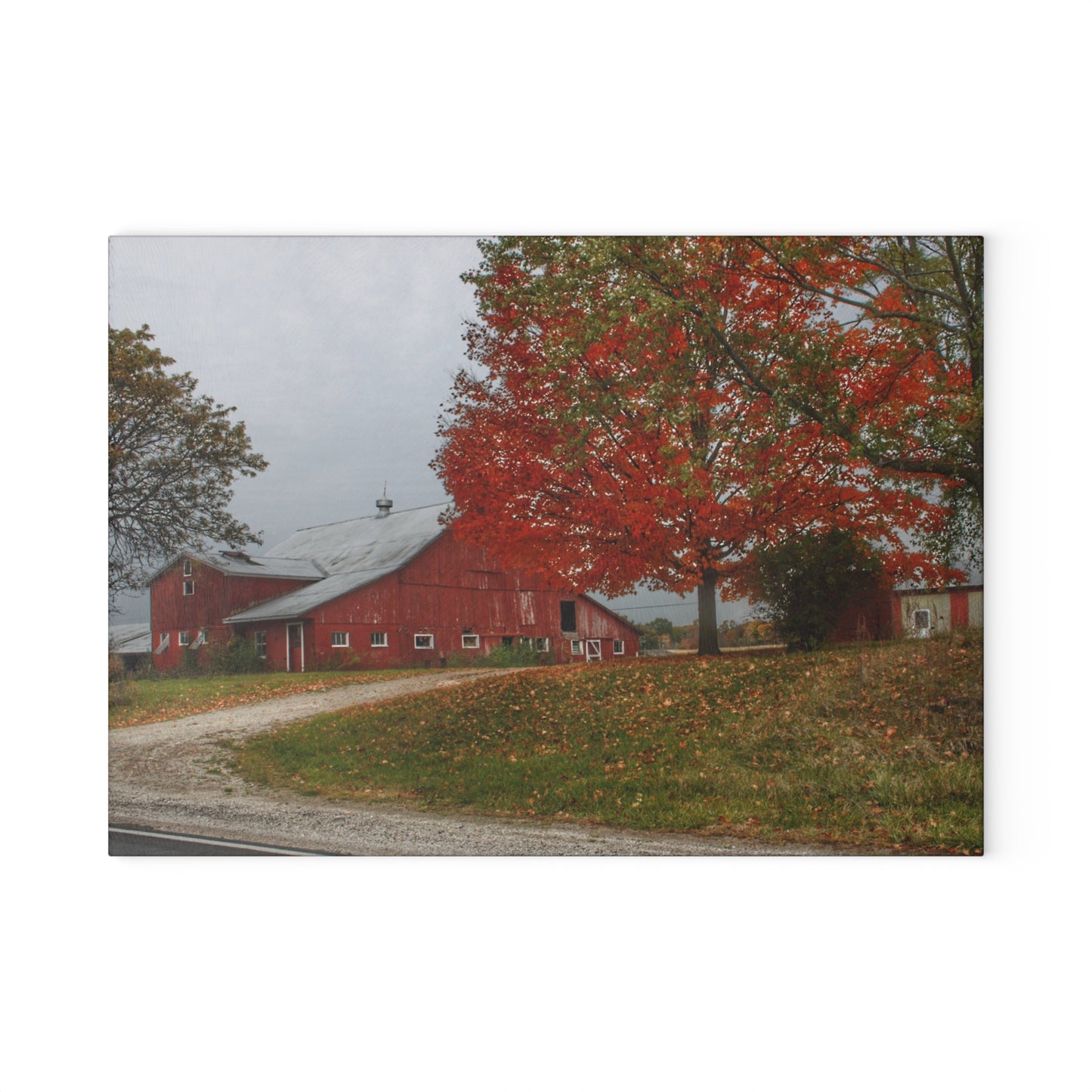 U R There Photography Goodrich Baldwin Road Reds II Rustic Farmhouse Tempered-Glass Cutting Board