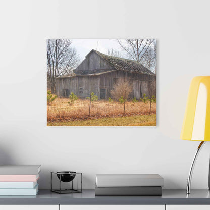U R There Photography Leix Road Forgotten Grey I Rustic Farmhouse Acrylic Wall Print