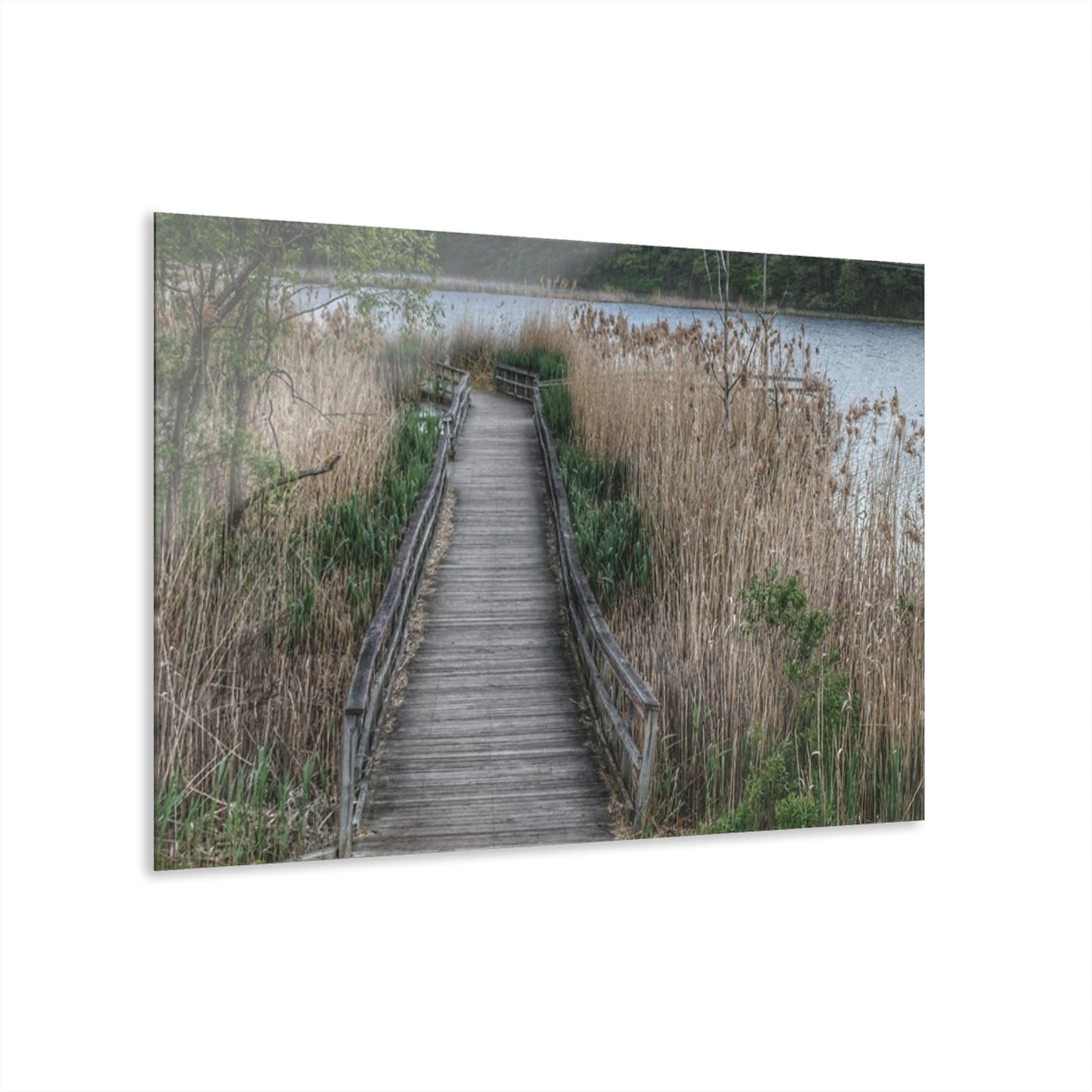 U R There Photography Linear Park Bridge in Lapeer II Rustic Farmhouse Acrylic Wall Print