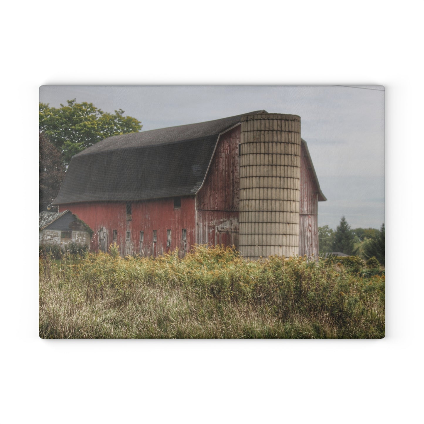 U R There Photography McDowell Road Old Red and Little White Rustic Farmhouse Tempered-Glass Cutting Board