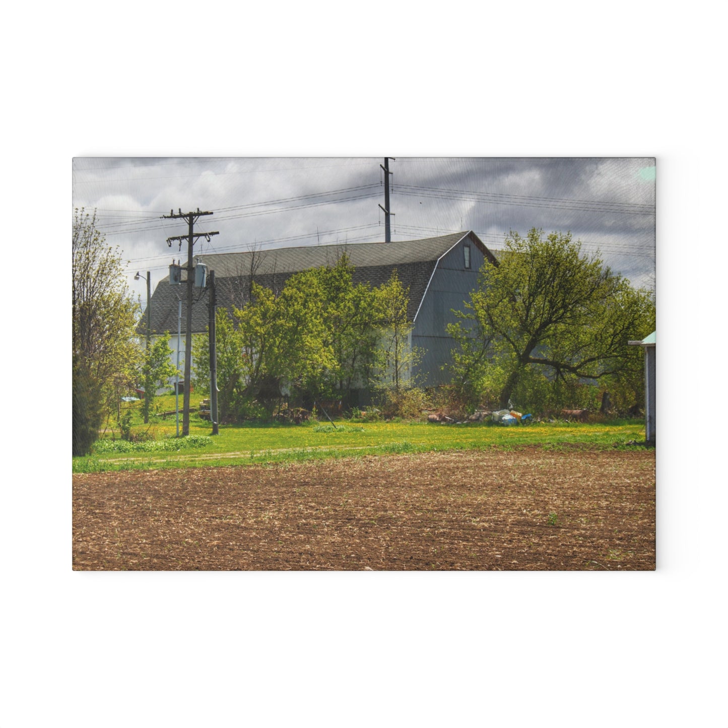 U R There Photography Rescue Road Old Grey Rustic Farmhouse Tempered-Glass Cutting Board