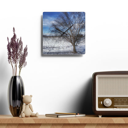 U R There Photography Winter Farm Willow Tree Rustic Farmhouse Acrylic Analog Wall Clock
