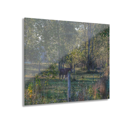 U R There Photography Chestnut Horse Among the Trees Rustic Farmhouse Acrylic Wall Print
