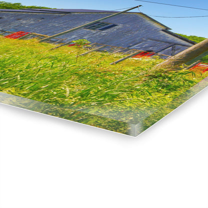 U R There Photography Greenwood Road Whitewash Grey Rustic Farmhouse Acrylic Wall Print