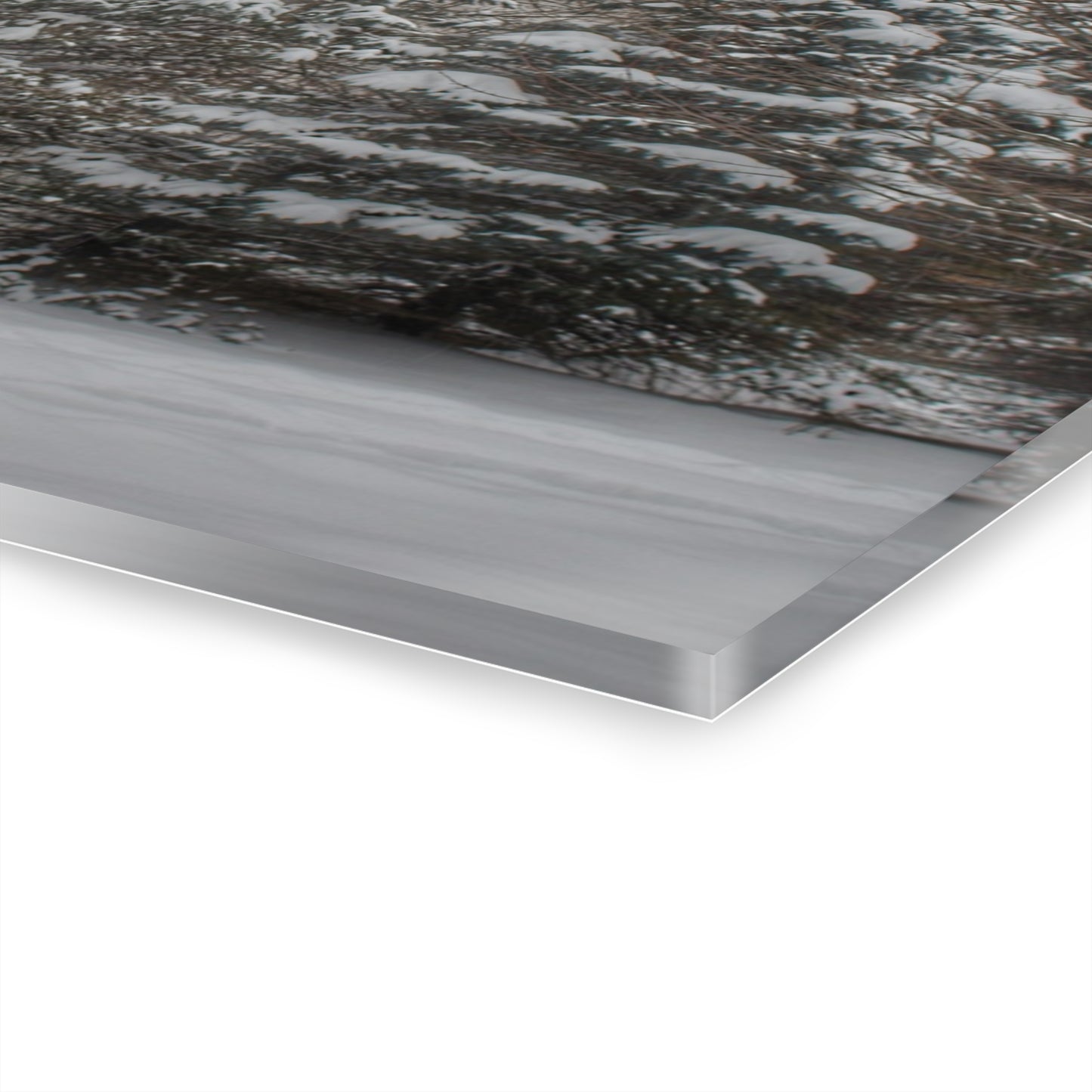 U R There Photography Hidden in Oxford I Rustic Farmhouse Acrylic Wall Print