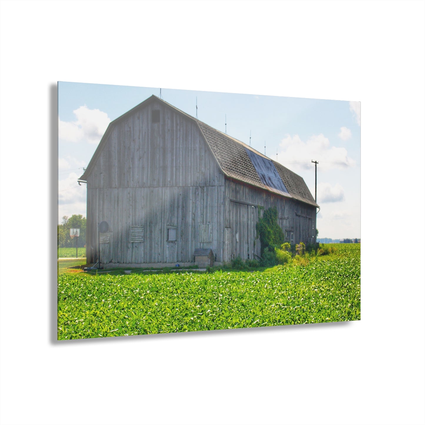 U R There Photography Morning Roadside Grey Rustic Farmhouse Acrylic Wall Print