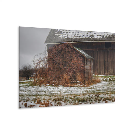 U R There Photography Wilder Road Little Grey Rustic Farmhouse Acrylic Wall Print