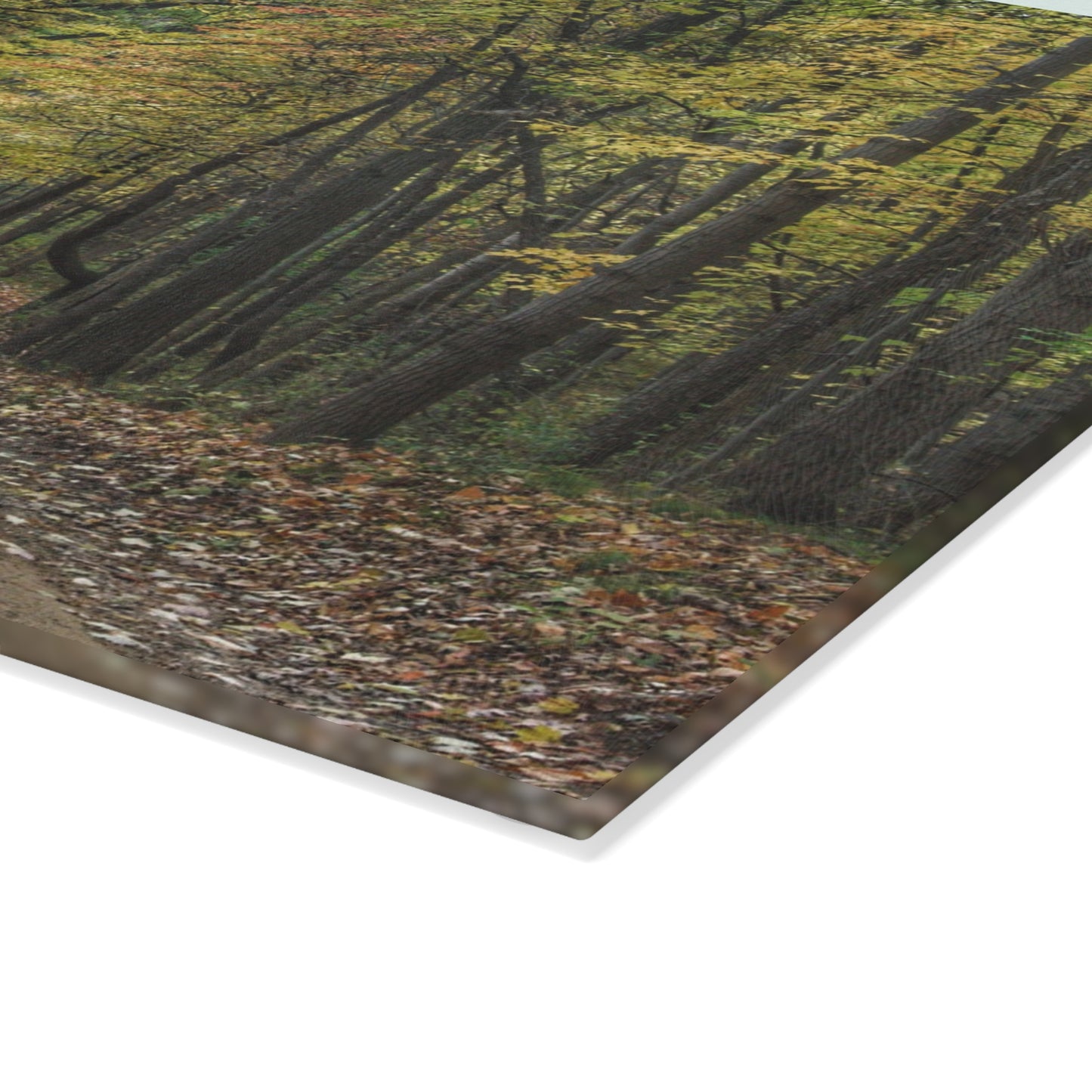 U R There Photography Country Roads in Dryden IV Rustic Farmhouse Tempered-Glass Cutting Board