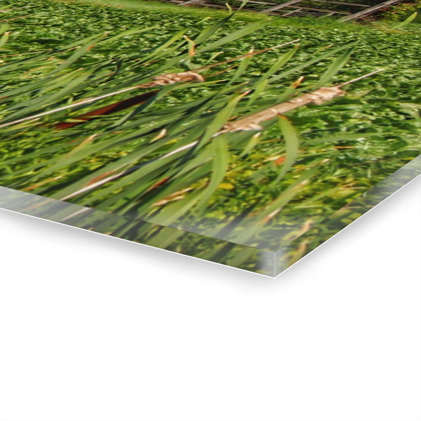 U R There Photography Montrose Farm II Rustic Farmhouse Acrylic Wall Print