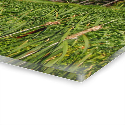 U R There Photography Montrose Farm II Rustic Farmhouse Acrylic Wall Print