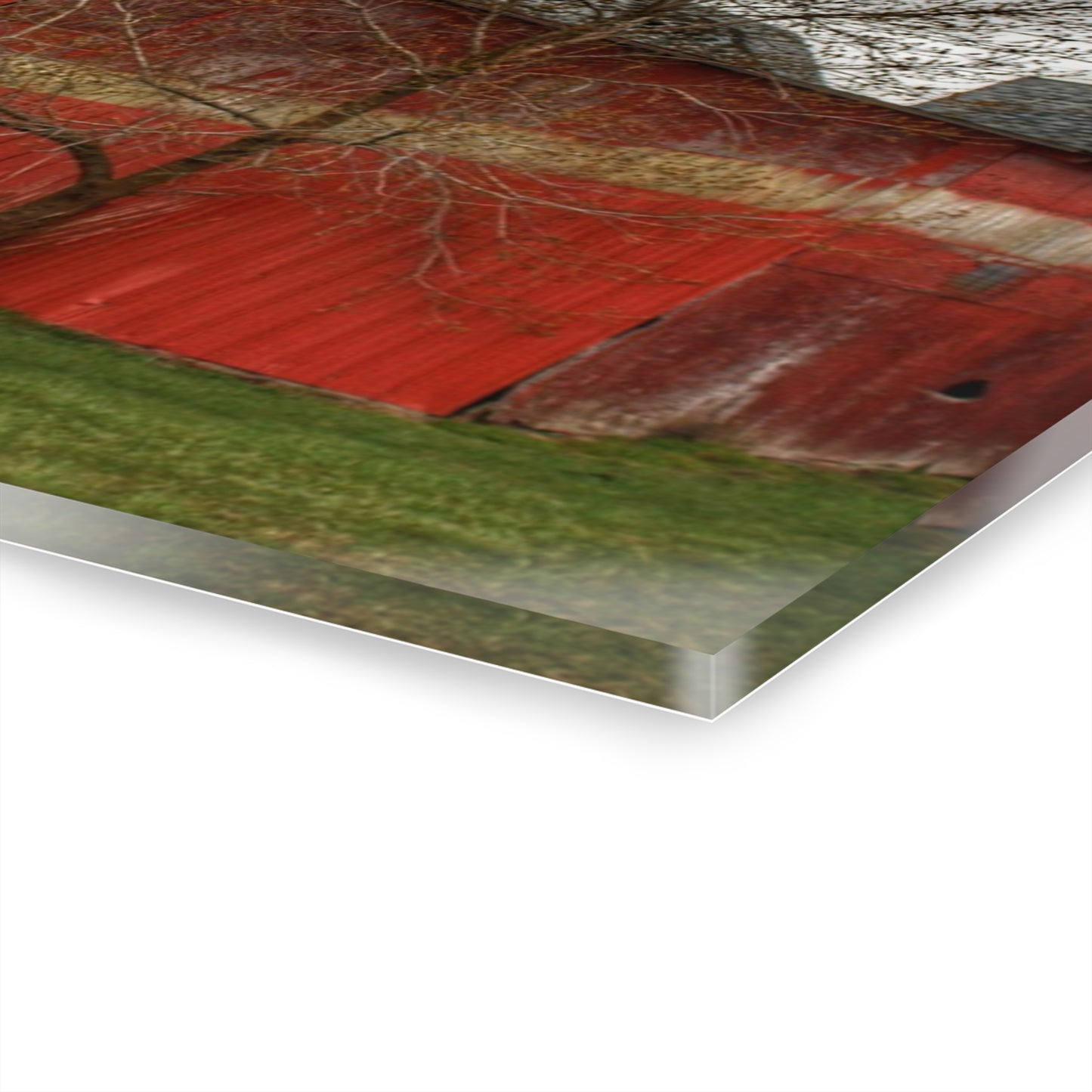 U R There Photography Almont Reds Rustic Farmhouse Acrylic Wall Print