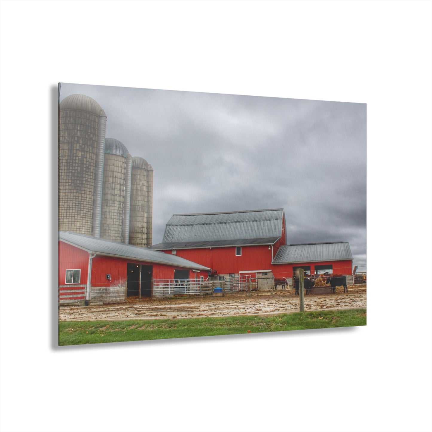U R There Photography Daley Road Cow Barn Rustic Farmhouse Acrylic Wall Print