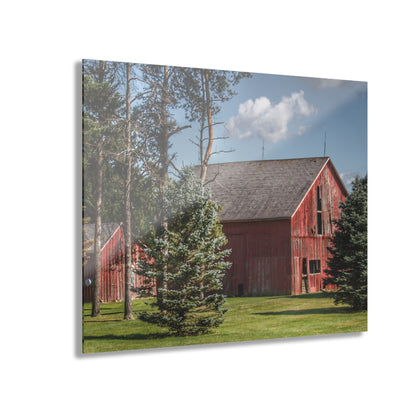 U R There Photography Havens Road Red Among the Pines Rustic Farmhouse Acrylic Wall Print