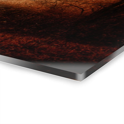 U R There Photography Grey Road Hillside Red II Rustic Farmhouse Acrylic Wall Print