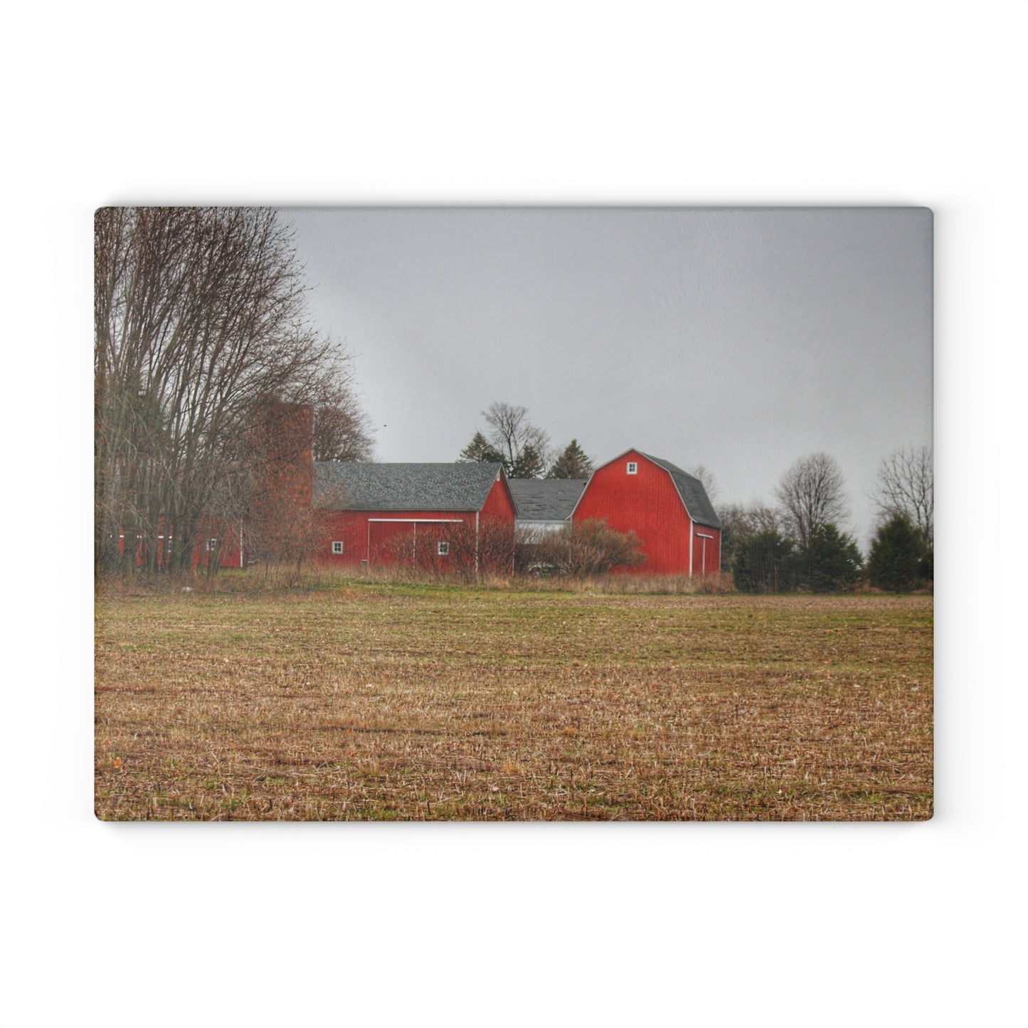 U R There Photography Kidder Road Reds Rustic Farmhouse Tempered-Glass Cutting Board