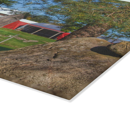 U R There Photography Oakwood Road Old Grey Rustic Farmhouse Tempered-Glass Cutting Board