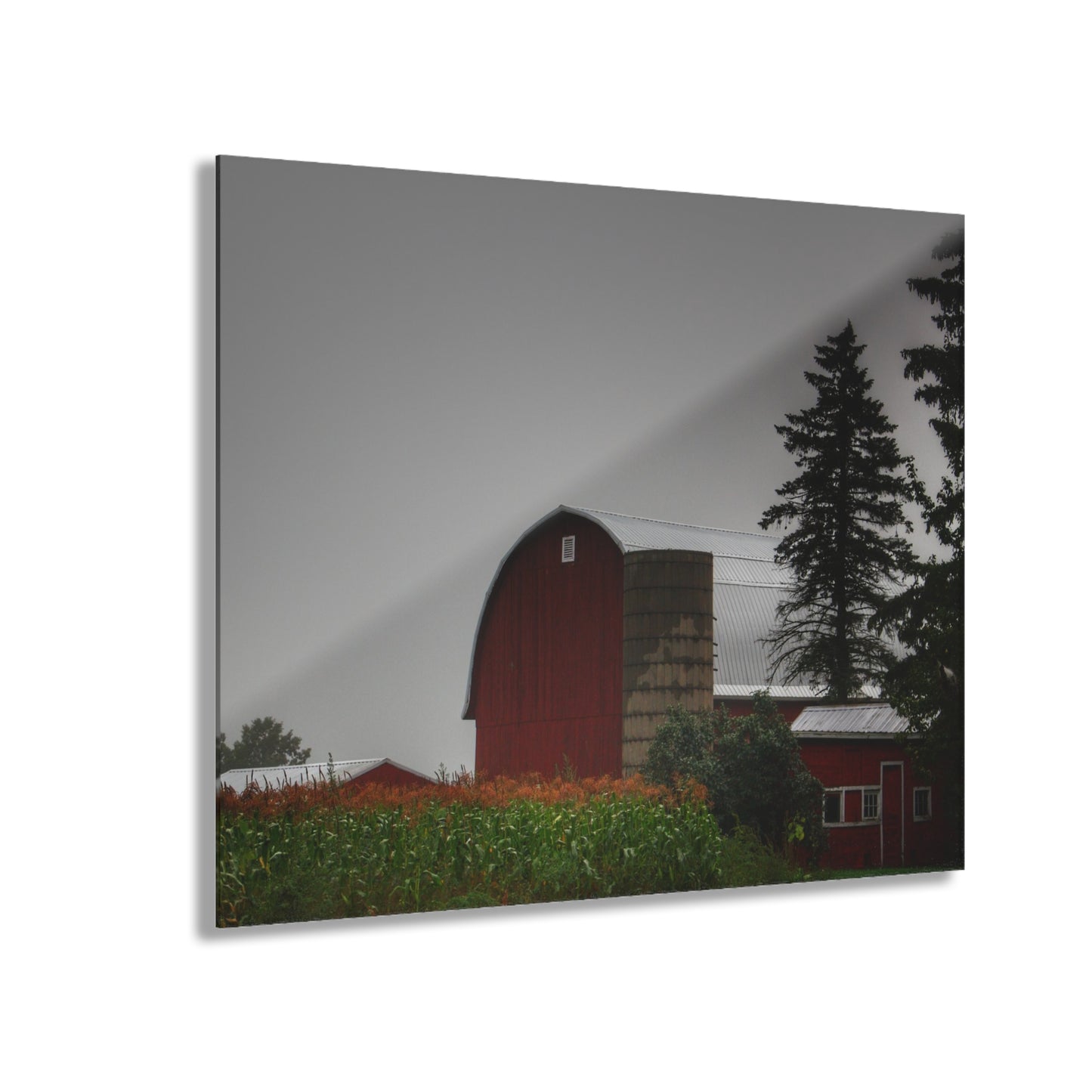 U R There Photography Beyond the Fog on Haines Rustic Farmhouse Acrylic Wall Print