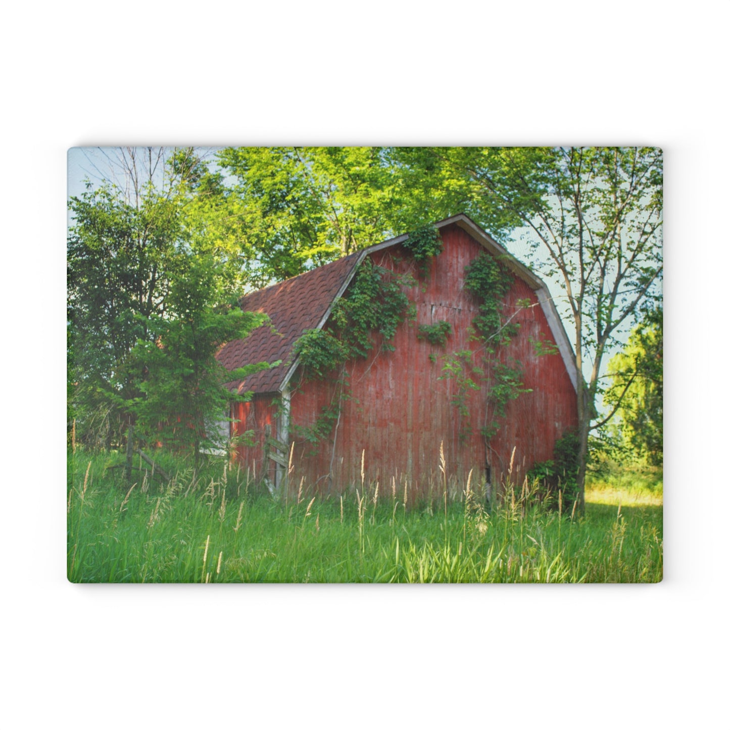 U R There Photography Murphy Lake Road Old Red Rustic Farmhouse Tempered-Glass Cutting Board