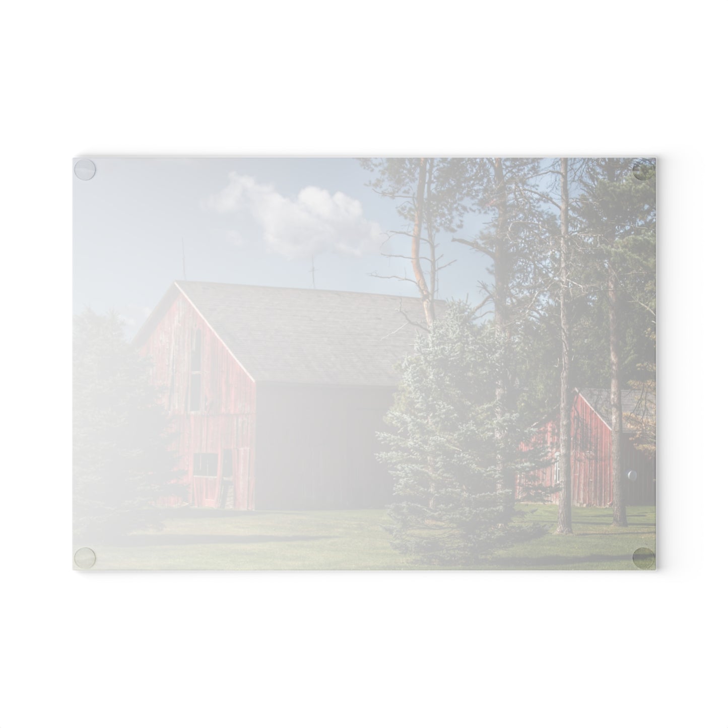 U R There Photography Havens Road Red Among the Pines Rustic Farmhouse Tempered-Glass Cutting Board