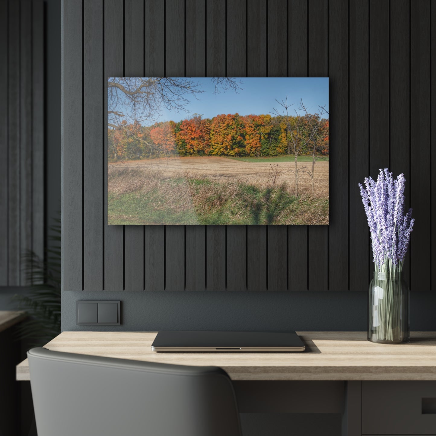 Barn Boutique Modern Farmhouse Acrylic Wall Print| Fall on Piersonville Road