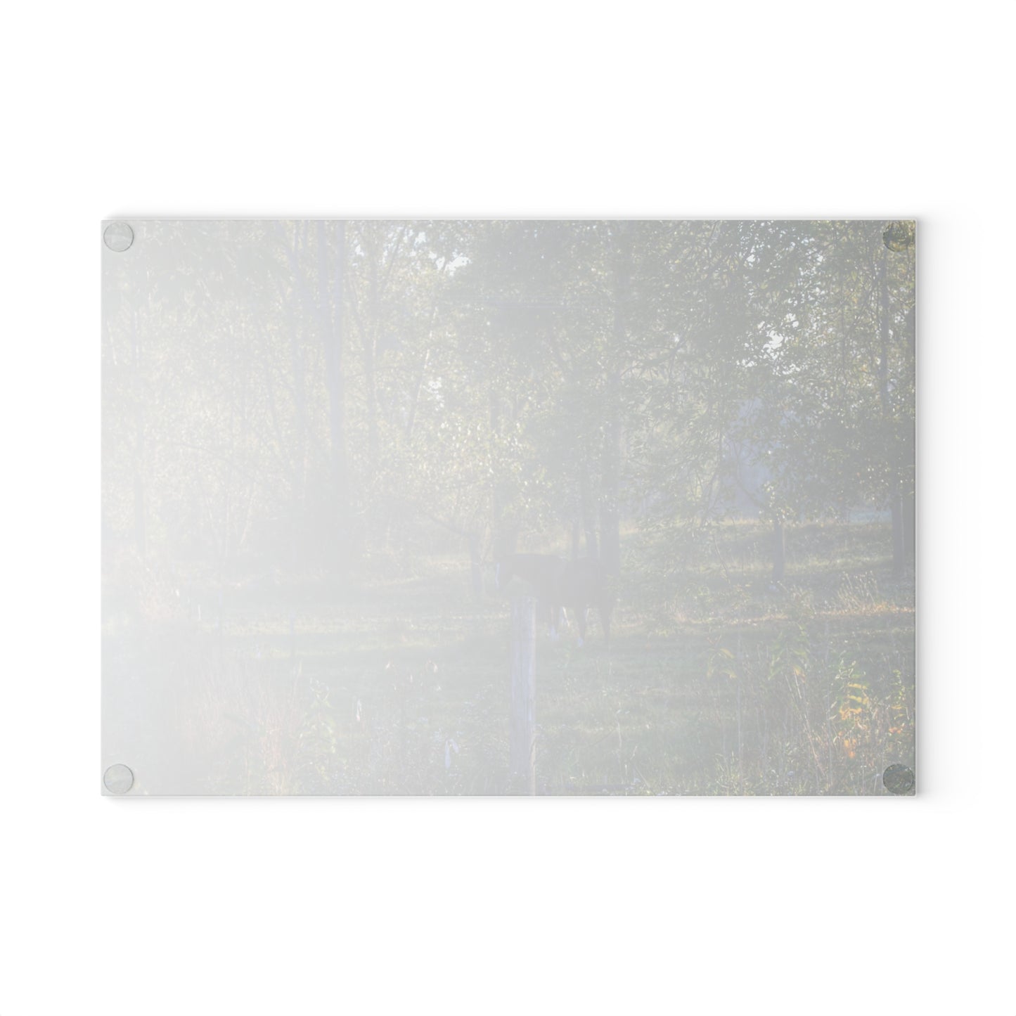 U R There Photography Chestnut Horse Among the Trees Rustic Farmhouse Tempered-Glass Cutting Board