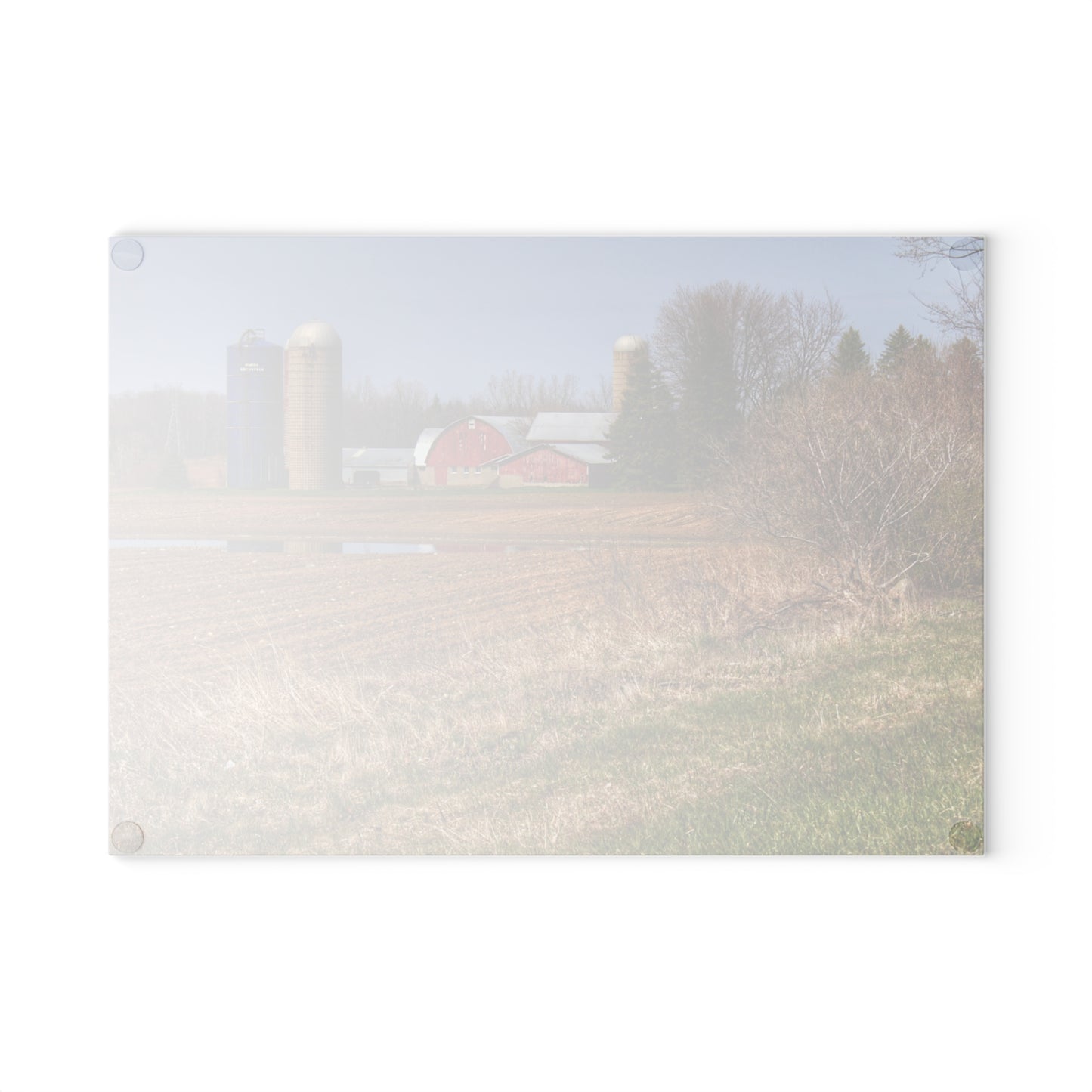 U R There Photography M-24 Northern Reds Farm Rustic Farmhouse Tempered-Glass Cutting Board