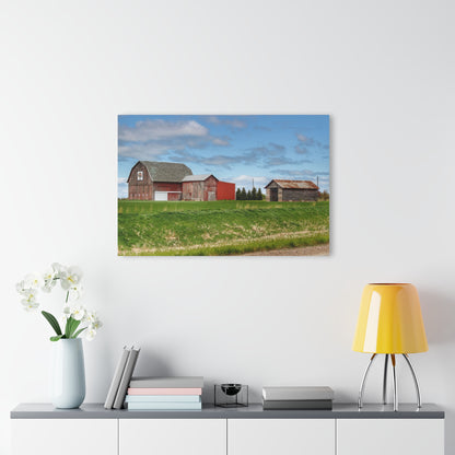 U R There Photography Unionville Reds Rustic Farmhouse Acrylic Wall Print