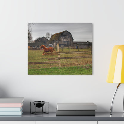U R There Photography South Summers Road Old Grey and Caramel III Rustic Farmhouse Acrylic Wall Print