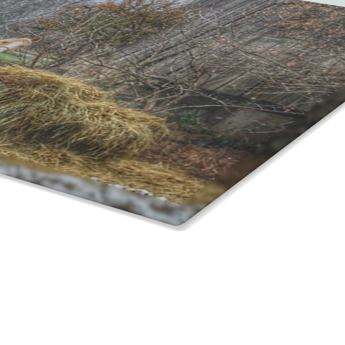 U R There Photography French Road Butterscotch Rustic Farmhouse Tempered-Glass Cutting Board