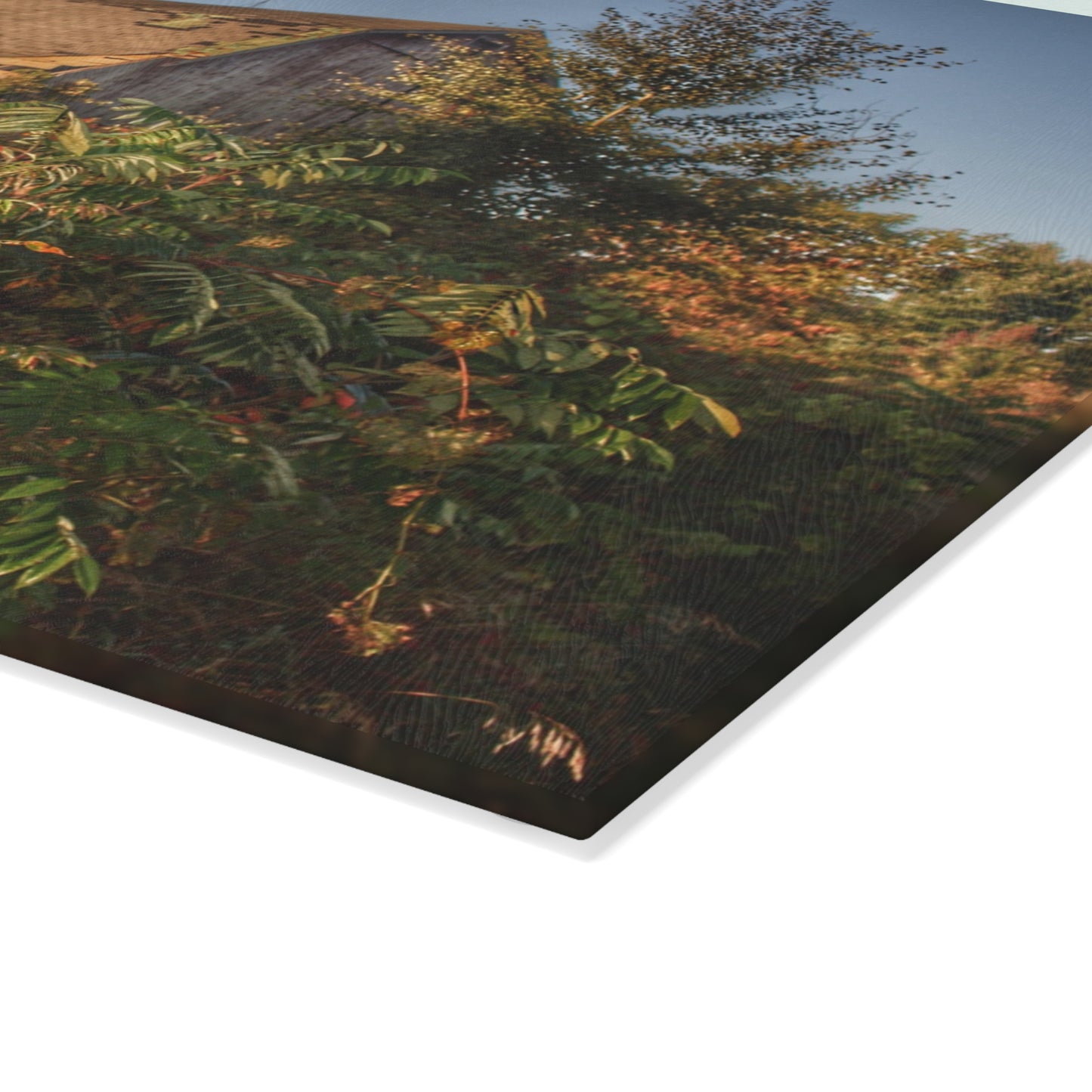 U R There Photography Hidden on Bearanger Road Rustic Farmhouse Tempered-Glass Cutting Board