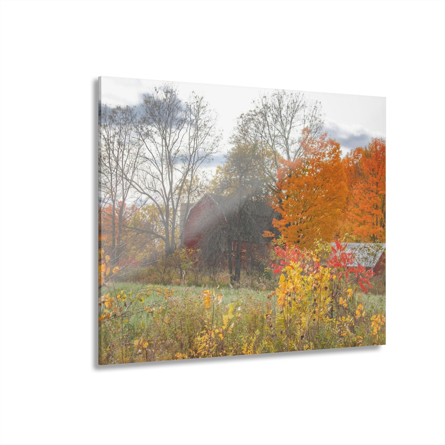 U R There Photography Bowers Hidden Red Rustic Farmhouse Acrylic Wall Print