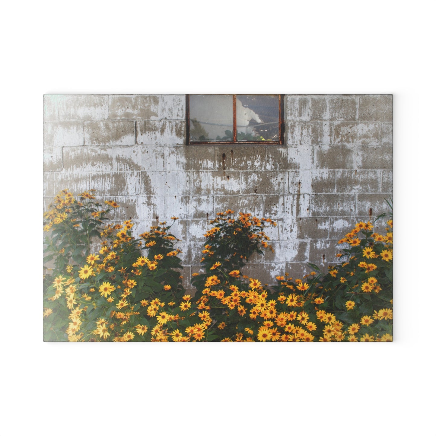 U R There Photography Golden Blooms on McDowell Rustic Farmhouse Tempered-Glass Cutting Board