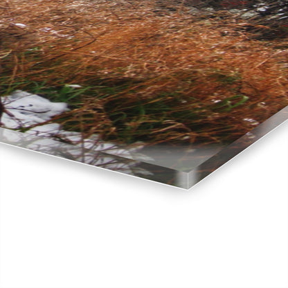 U R There Photography Noble Road Red Rustic Farmhouse Acrylic Wall Print