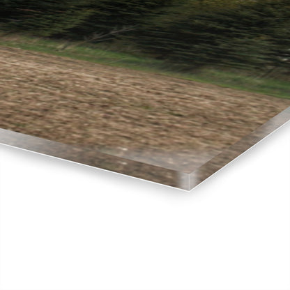 U R There Photography Sandusky Grey in the Pines Rustic Farmhouse Acrylic Wall Print