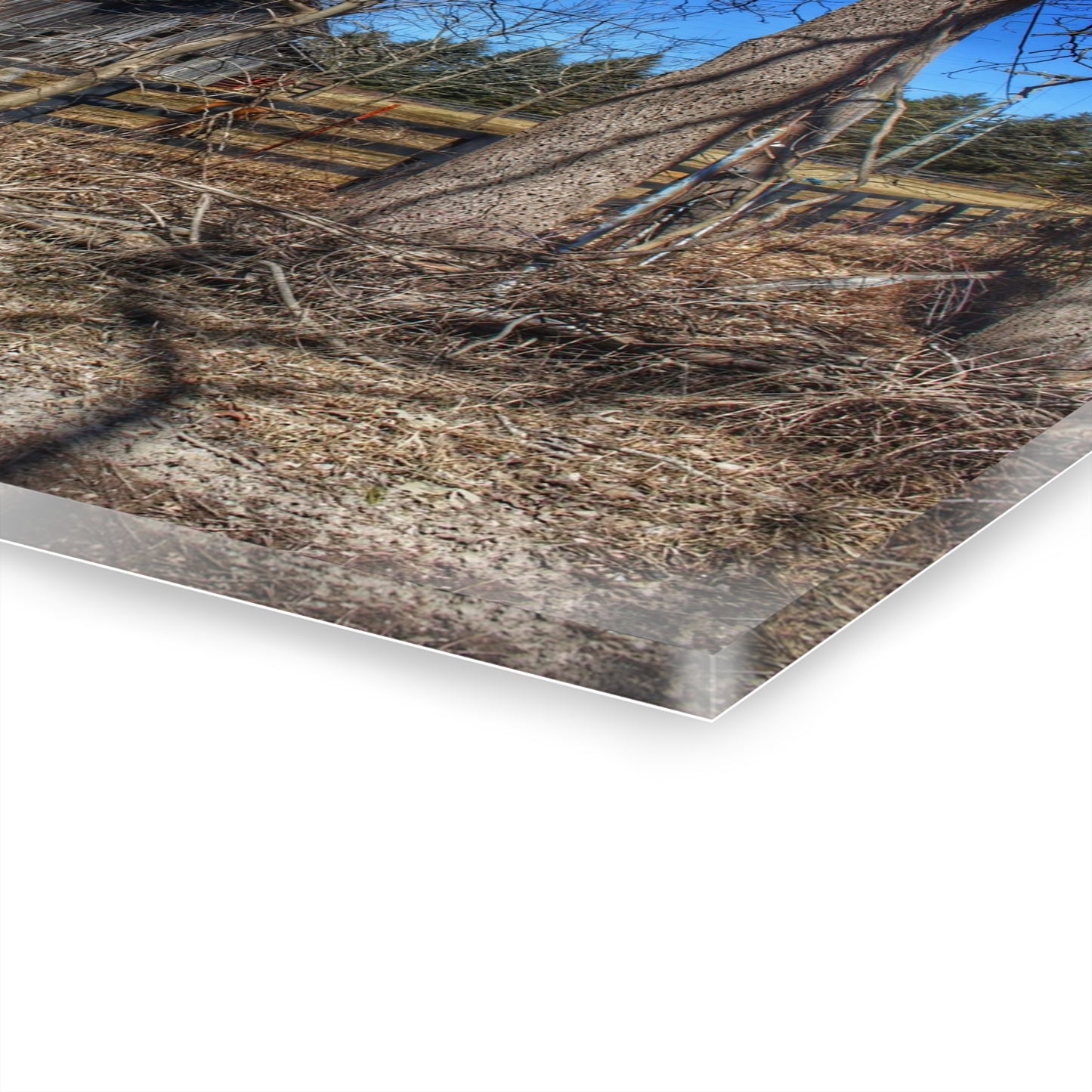 U R There Photography Brewer Road Grey Rustic Farmhouse Acrylic Wall Print