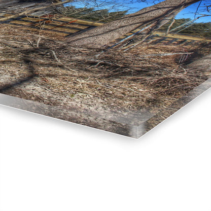 U R There Photography Brewer Road Grey Rustic Farmhouse Acrylic Wall Print