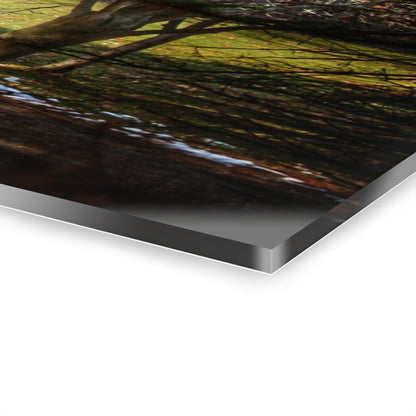 U R There Photography Newark Road Hidden Fieldstone Grey Rustic Farmhouse Acrylic Wall Print