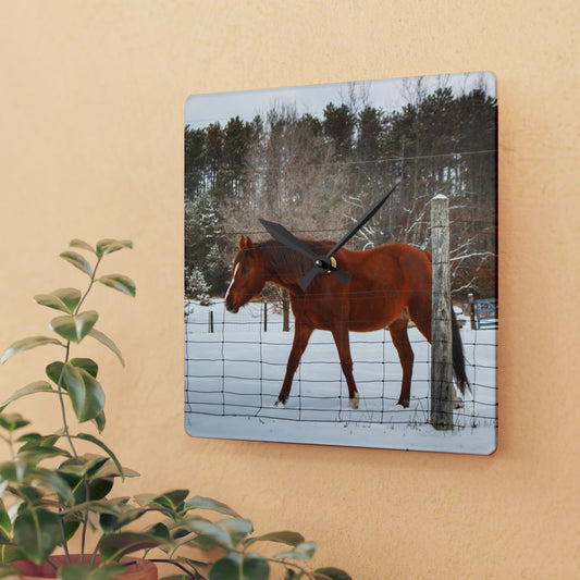 U R There Photography Roadside Chestnut Rustic Farmhouse Acrylic Analog Wall Clock