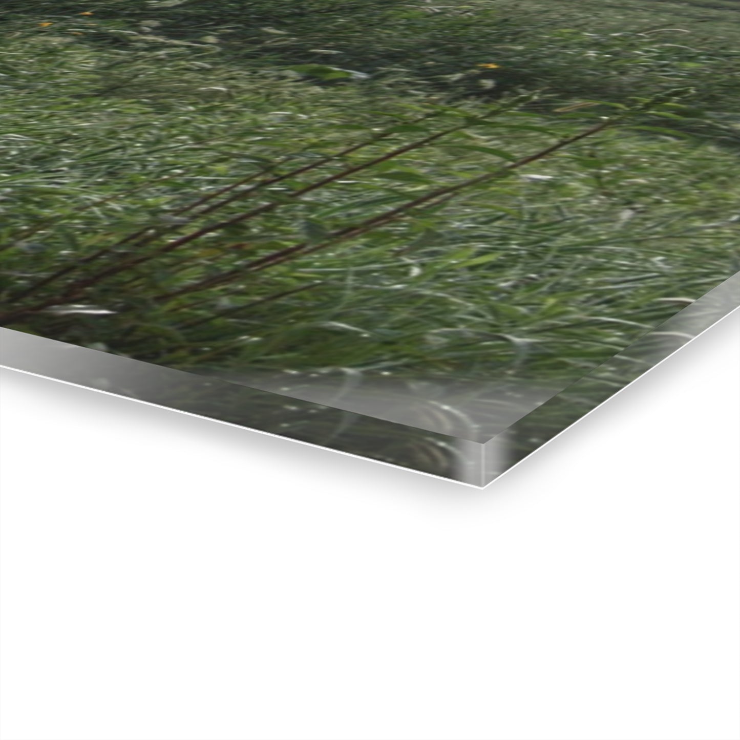 U R There Photography Hill Road Grey in the Fog Rustic Farmhouse Acrylic Wall Print