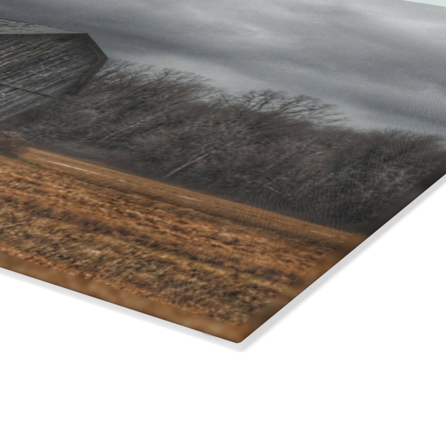 U R There Photography Grey Barn and Tree Rustic Farmhouse Tempered-Glass Cutting Board