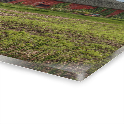 U R There Photography Murphy Lake Road Reds Rustic Farmhouse Acrylic Wall Print