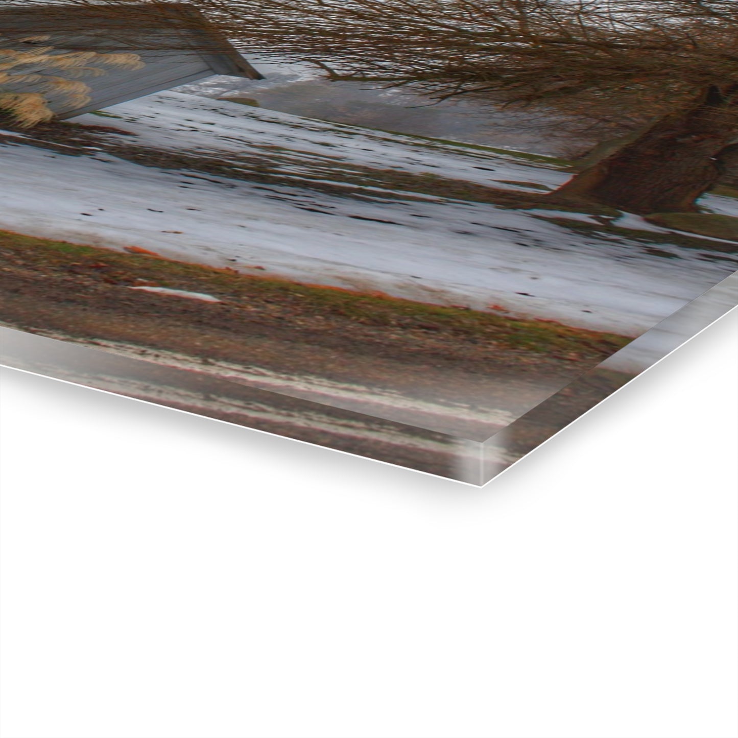 U R There Photography Ludwig Road Greys in the Fog Rustic Farmhouse Acrylic Wall Print