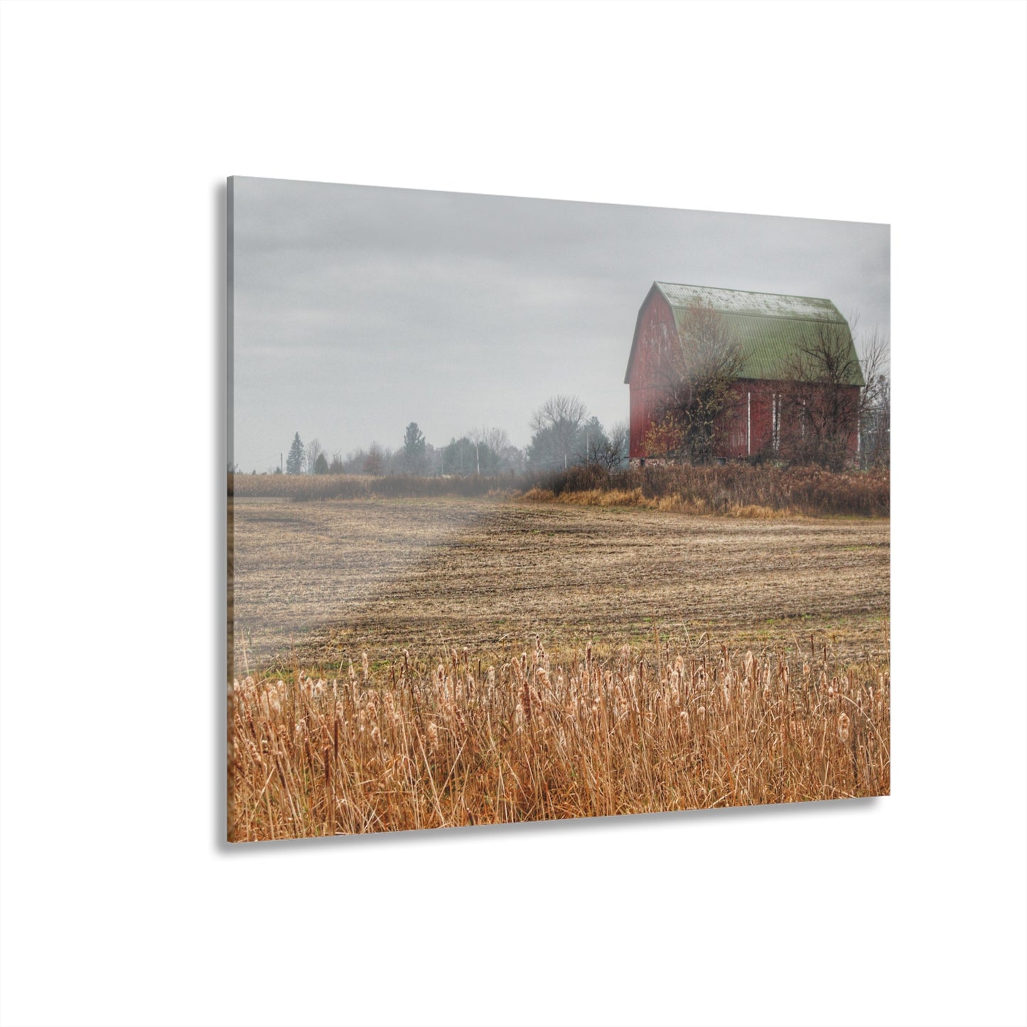 U R There Photography Bowers Road Red IV Rustic Farmhouse Acrylic Wall Print