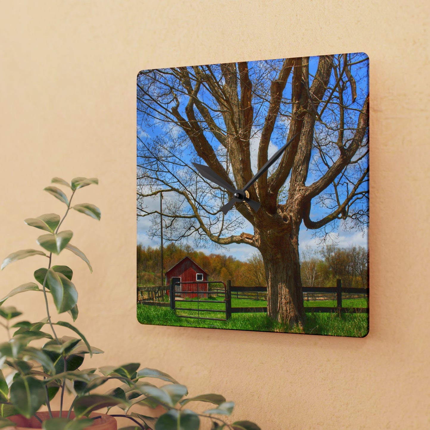 U R There Photography Delano Oak and Little Red Rustic Farmhouse Acrylic Analog Wall Clock