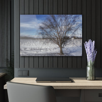 U R There Photography Winter Farm Willow Tree Rustic Farmhouse Acrylic Wall Print