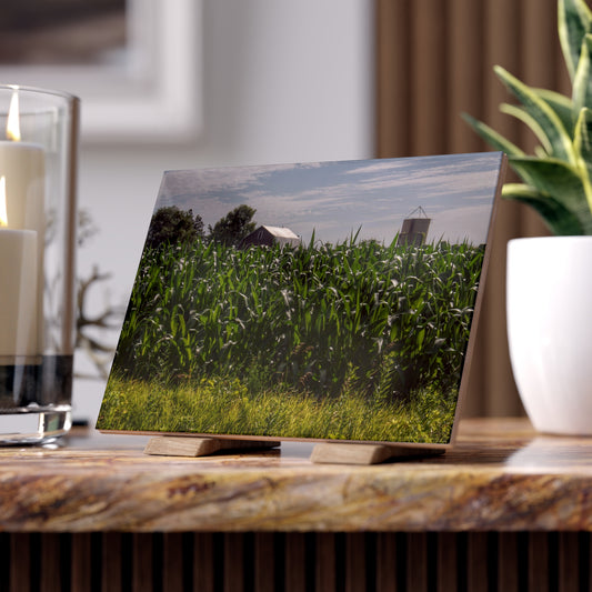 U R There Photography Above the Corn on Piersonville Road I Rustic Farmhouse Decorative Ceramic Tile