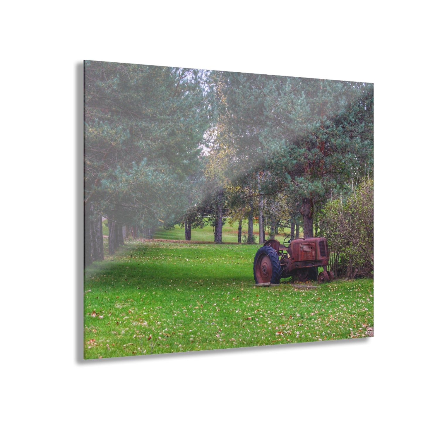 U R There Photography Casey Road Yard Art II Rustic Farmhouse Acrylic Wall Print