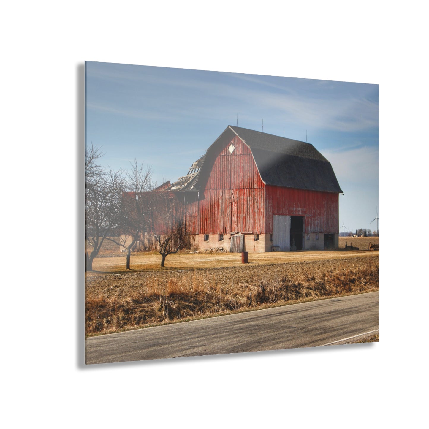U R There Photography Elmwood Forgotten Apple Red Rustic Farmhouse Acrylic Wall Print