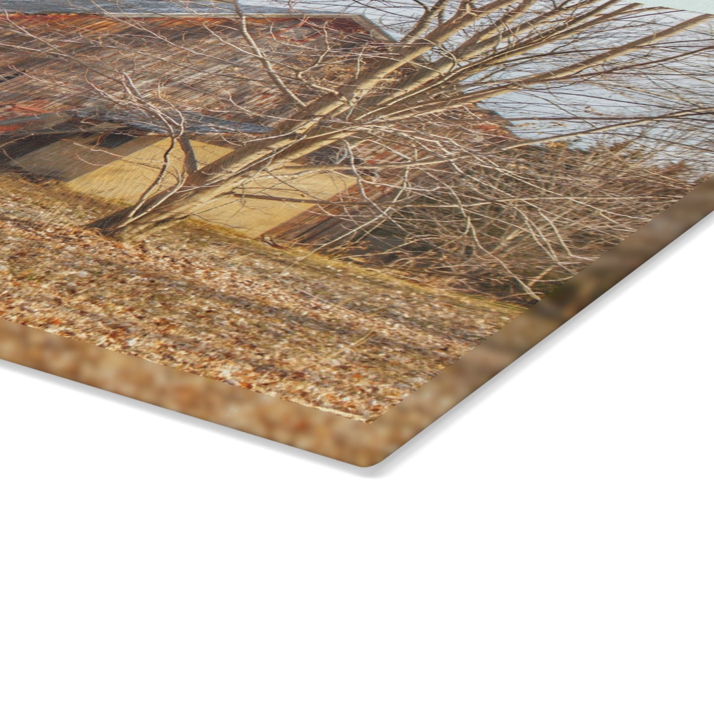 U R There Photography Millington Road Collapsing Red Rustic Farmhouse Tempered-Glass Cutting Board