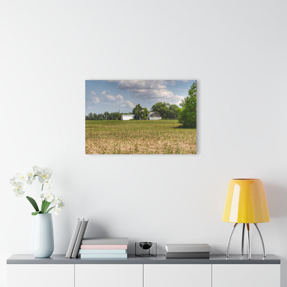 U R There Photography Willard Road White Rustic Farmhouse Acrylic Wall Print